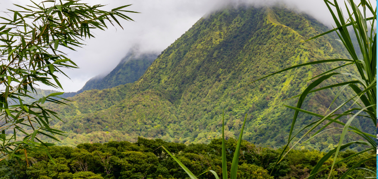 que faire en Martinique