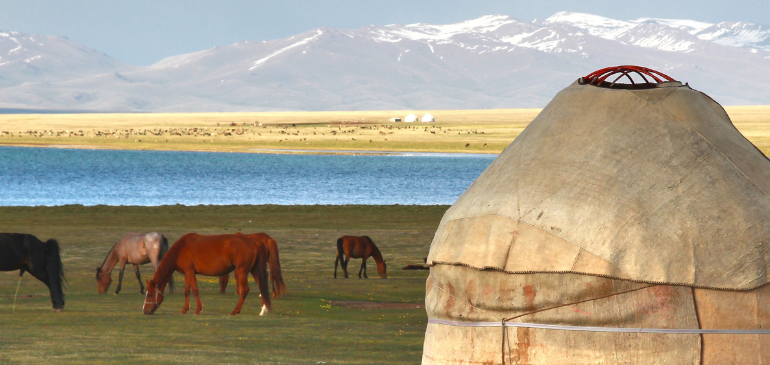 chameaux AVI assurance voyage Mongolie