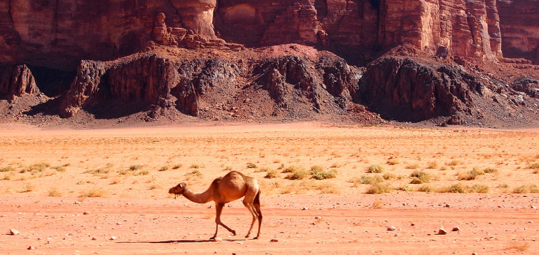 Wadi Rum Jordanie Assurance voyage et vacances