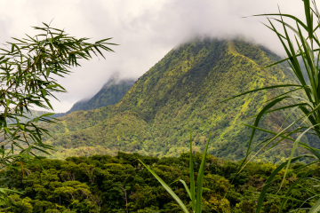 que faire en Martinique